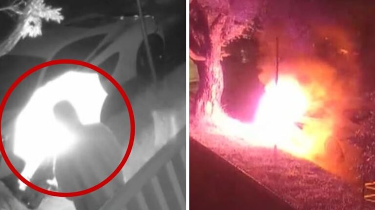Moment man uses pizza box to light luxury car on fire